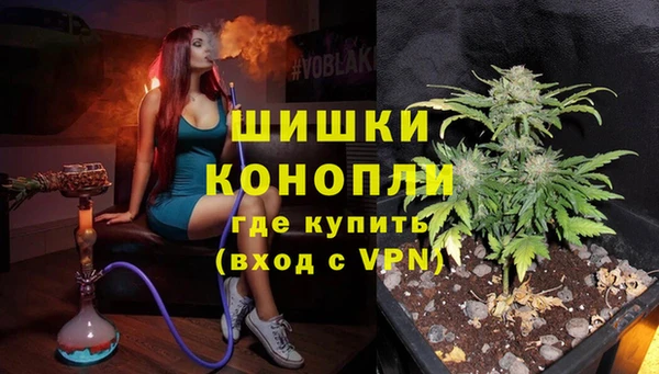 стаф Кинешма