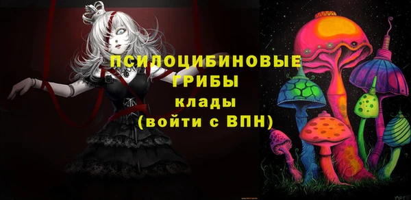 стаф Кинешма