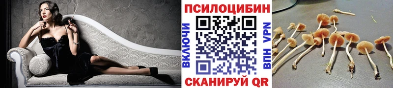 Купить где  Рыбное  Галлюциногенные грибы Magic Shrooms 